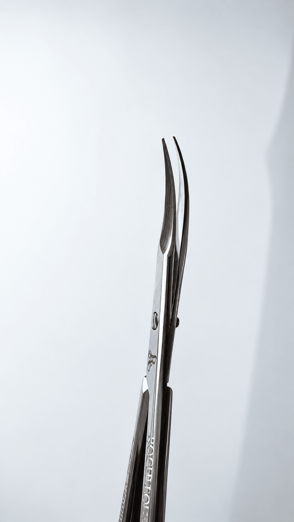 SHARP VIBER - Roger Louis Nails