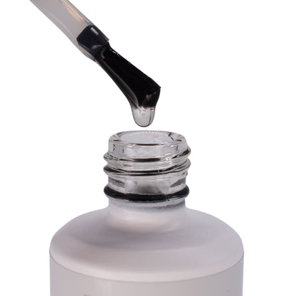 Base Coat